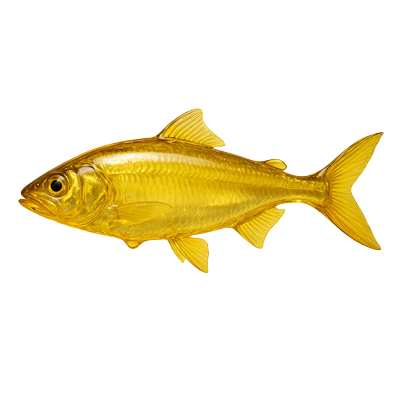 The Potter's Difference